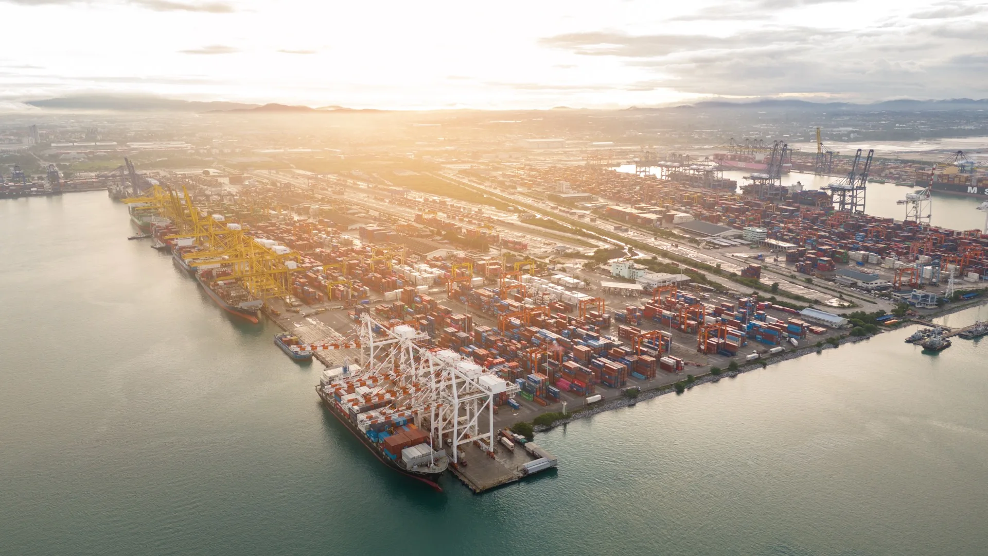 3PL Analytics: How Third-Party Logistics Providers Use BI for Competitive Advantage